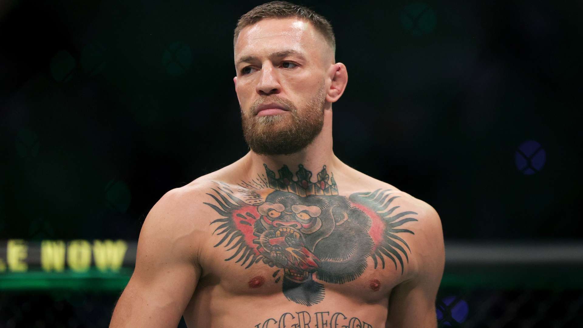 这一成就不 这一成就不